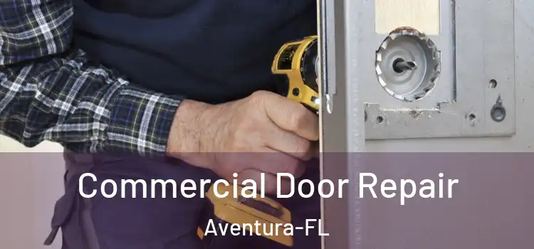 Commercial Door Repair Aventura-FL