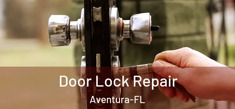 Door Lock Repair Aventura-FL