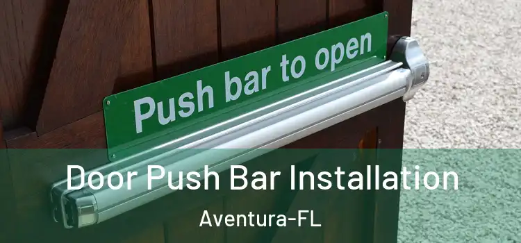  Door Push Bar Installation Aventura-FL