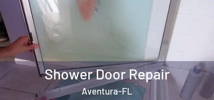 Shower Door Repair Aventura-FL